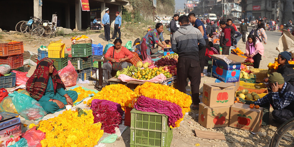 तिहारमा फूलको कारोबार कम भएपछि व्यवसायी चिन्तित